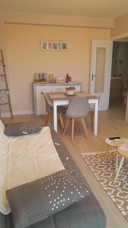Chateauroux : Bel Appartement Avec Balcon 외부 사진